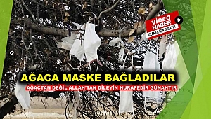 Ağaca çaput yerine maske bağlandı