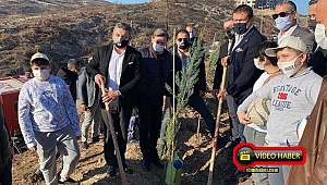 Belen'de yangında zarar gören alana Beşiktaş Kulübü yöneticileri, fidan dikti