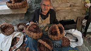 Çam kozalaklarını sanat eserine dönüştürüyor