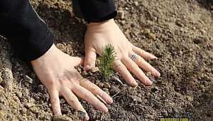 Geleceğe Nefes Olacak Manisa Ormanlarına Kadın Eli Değiyor