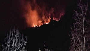 Giresun'da Orman Yangını 