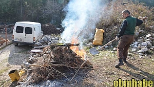 Her derde şifa katran yağı yok satıyor