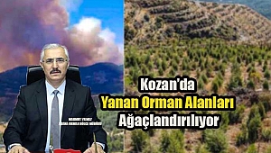 Kozan'da yanan orman alanları yeniden yeşerecek