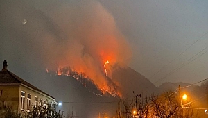 Rusya'da Havai Fişekli Kutlamalar Orman Yaktı 