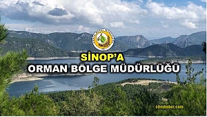 Sinop’a Orman Bölge Müdürlüğü müjdesi