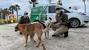 Sinop'ta HAYDİ polisleri göreve başladı