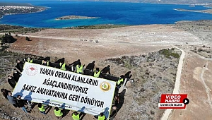 Çeşme'de yanan orman alanına 5 bin adet sakız fidanı