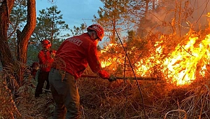 Doğu Karadeniz Bölgesi son dönemde örtü ve orman yangınları ile gündeme geliyor