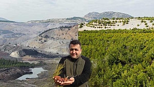 Soma'da kömürün karası yerini ormanın yeşiline bıraktı