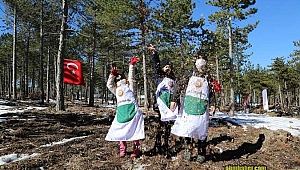  28 ton karaçam tohumundan , yaklaşık 1,5 Milyar karaçam tohumu elde edilecek