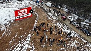 Kastamonu'da rehabilite edilen çöp sahasına bin fidan dikildi