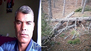 Kestiği ağacın altında kalarak hayatını kaybetti