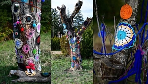 Kurumuş ağaçları el örgüsü ürünlerle süsleyip kesilmesini önlediler