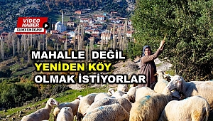 Mahalleye dönen köyler yeniden köy olmak istiyor