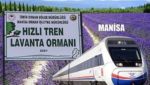 Manisa’da hızlı tren güzergahı lavanta kokacak
