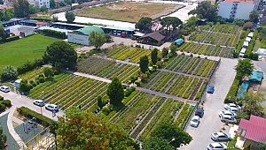 Şehrin kalbindeki 97 yıllık oksijen deposu