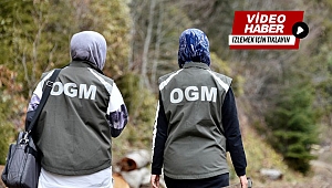 Gümüşhane'nin tek kadın ormancıları hayallerindeki mesleği yapıyor