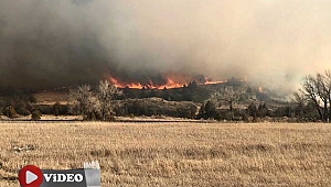 Kuzey Dakota eyaletinde orman yangını: gökyüzü dumanla kaplandı