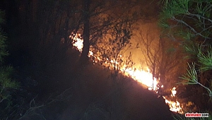 Muğla Menteşe ve Kavaklıdere'de Orman Yangını Çıktı