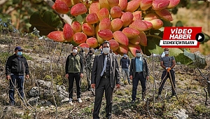 SELENDİ’DE ORMAN KÖYLÜSÜNE YEŞİL ALTIN TAHSİS SERTİFİKASI 