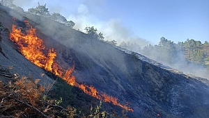 Burdur'da orman yangını