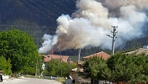 Denizli'de Orman Yangını İki Noktada Devam Ediyor
