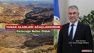 İzmir ve Manisa'da küle dönen ormanlık alanlar artık yemyeşil