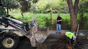 Kartal'da yarım asırlık ağaçlara 'Nefes Borusu' ile can veriliyor