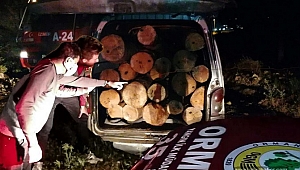  Aliağa Ormanlarında Gece Devriyesine Çıkan Koruma Ekipleri Kaçakçıları Suçüstü Yakaladı