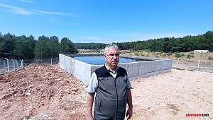 Orman Bölge Müdürü Derince: 