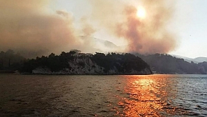 Samos'a Orman Yangını Kabus Gibi Çöktü