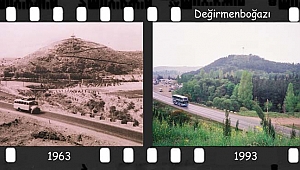 Balıkesir Orman İşletme Müdürlüğü Arşivlerinden Çıkan Bir 