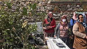 Defne fidanı dağıtıp defne sabunu yapımını anlattı