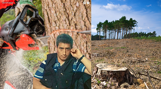 Kestiği ağacın altında kalan orman işçisi hayatını kaybetti