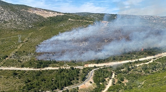 İzmir'de iki noktada orman yangını başladı