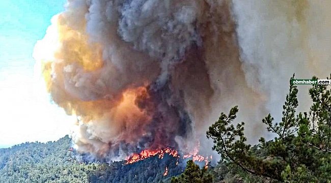 Marmaris Orman Yangını 20.Saatte Tahliyeler Başladı