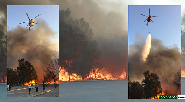Sasalı Doğal Yaşam Parkı’ndaki yangın kontrol altına alındı
