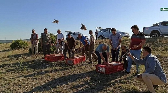 Eskişehir'de yüzlerce kınalı keklik doğaya salındı