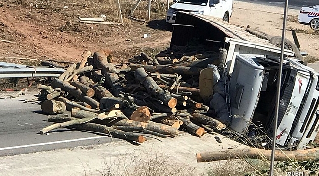 Freni boşalan tomruk yüklü kamyon devrildi