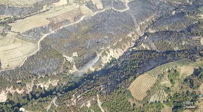Gördes yangınında 85 hektar orman , 100 hektar tarım alanı zarar gördü 