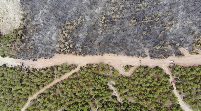Yangın emniyet şeritleri binlerce hektar alanı kül olmaktan kurtarıyor