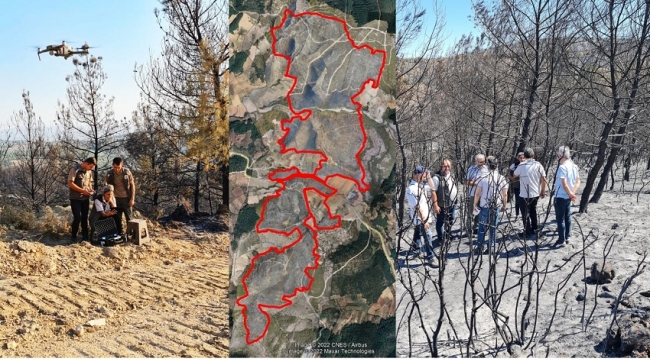 Akhisar’da Yanan Orman Alanında Fidanlar 11 Kasımda Toprakla Buluşacak 