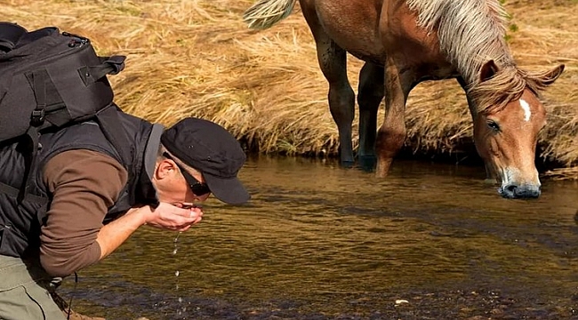 Bir atın susuzluğunu giderdiği yerden su iç...