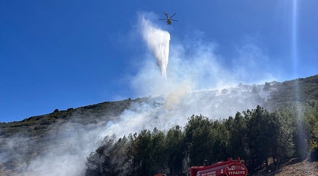 Burdur'da orman yangını 2 saatlik mücadeleyle kontrol altına alındı