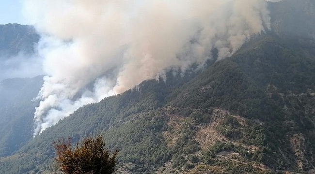 Osmaniye’deki orman yangını 3’ncü gününde büyüyerek devam ediyor