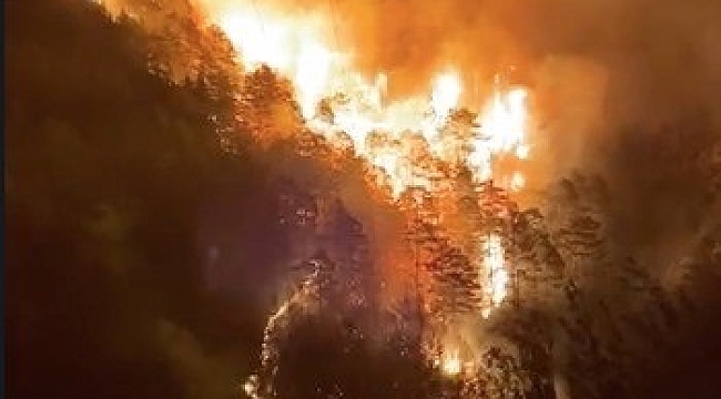Alanya'da   dört ayrı noktada orman yangını başladı