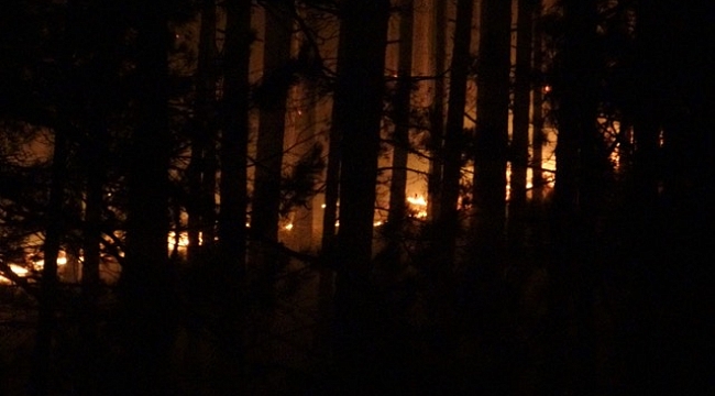 Kaz Dağları’nda ormanlık alanda yangın çıktı