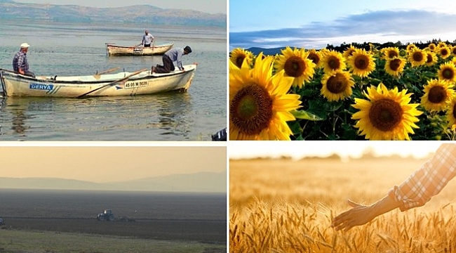 Kuruyan Marmara Gölü'nde buğday ve ayçiçeği yetiştirilecek