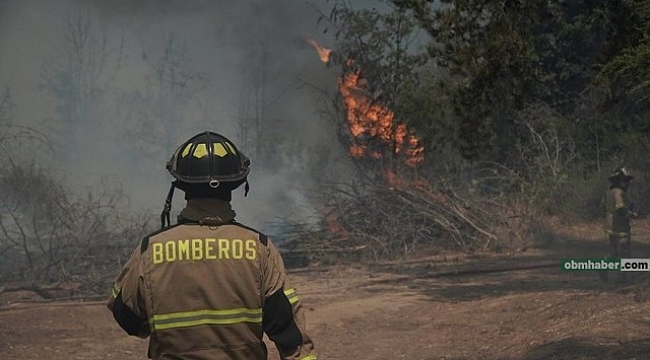 Şili'deki orman yangınlarında 4 kişi hayatını kaybetti