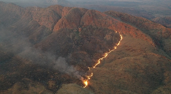 Avustralya'da yangın: 100 bin hektarlık alan kül oldu